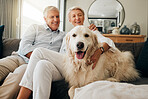 Couple, retirement and dog, happy and sofa together in home living room to show happiness. Elderly, man and senior woman with smile on couch love, animal and pet to relax in lounge of their house