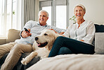 Retirement, relax and dog with couple on sofa while watching tv, movies or streaming service. Happy, love and pet with old man and elderly woman in living room at home for lifestyle together