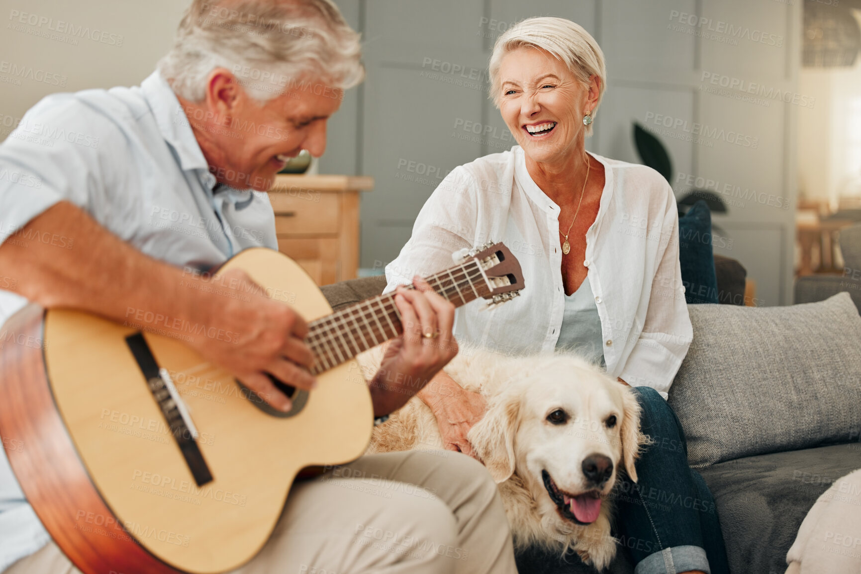 Buy stock photo Senior couple, dog and guitar in living room sofa for music, funny singing and relax in lounge in Australia. Happy woman listening to husband man play instrument for pet labrador, retirement and love