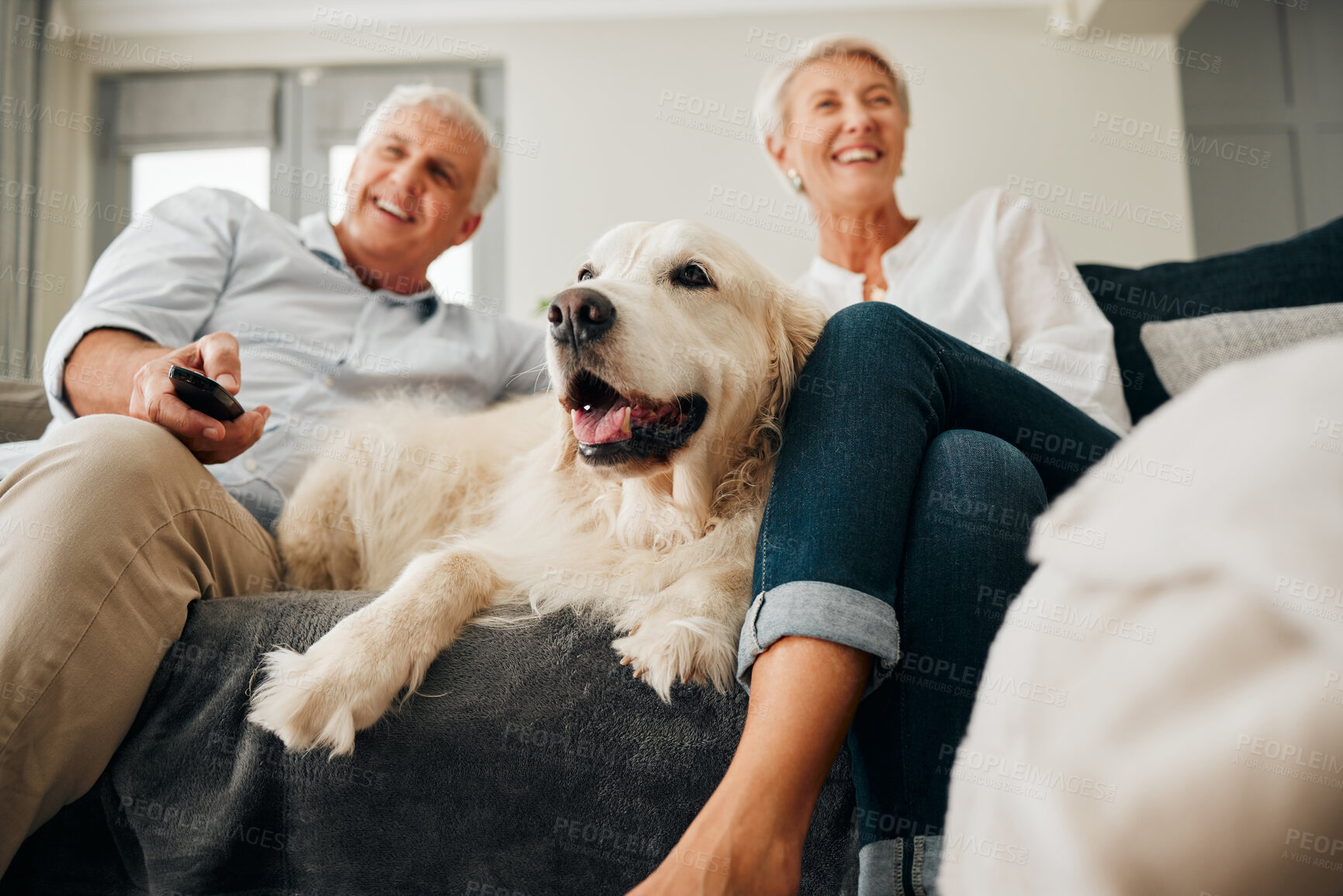 Buy stock photo Relax, retirement with dog and couple on the sofa together while watching, television, movies or streaming. Love, family and happy with old man and elderly woman in living room with pet for lifestyle