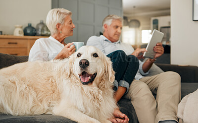 Buy stock photo Senior couple, dog and tablet on living room sofa together, relax and happy, love to watch bonding movie at house. Animal pet, smile and Elderly man, woman on tech in lounge relaxing in family home