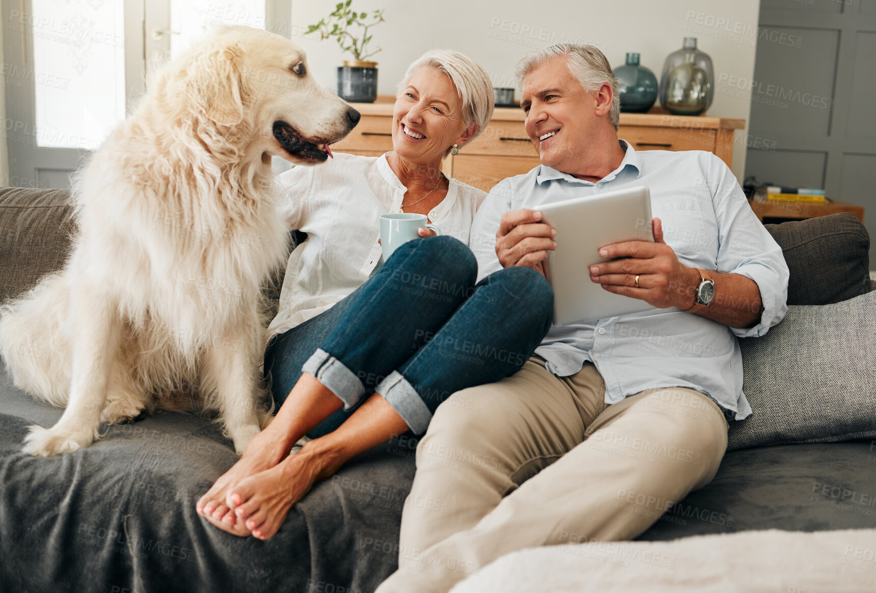 Buy stock photo Relax, retirement and dog with couple on sofa with coffee and tablet together for internet, news or digital in the morning. Love, support and pet with old man and elderly woman sitting in living room