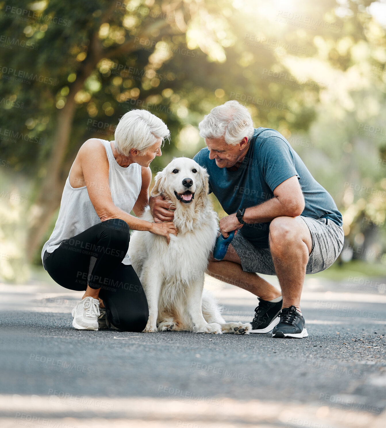 Buy stock photo Dog walk, nature and senior couple walking their pet for exercise on a road in Germany together. Happy, calm and healthy elderly man and woman training their animal on a street park in summer