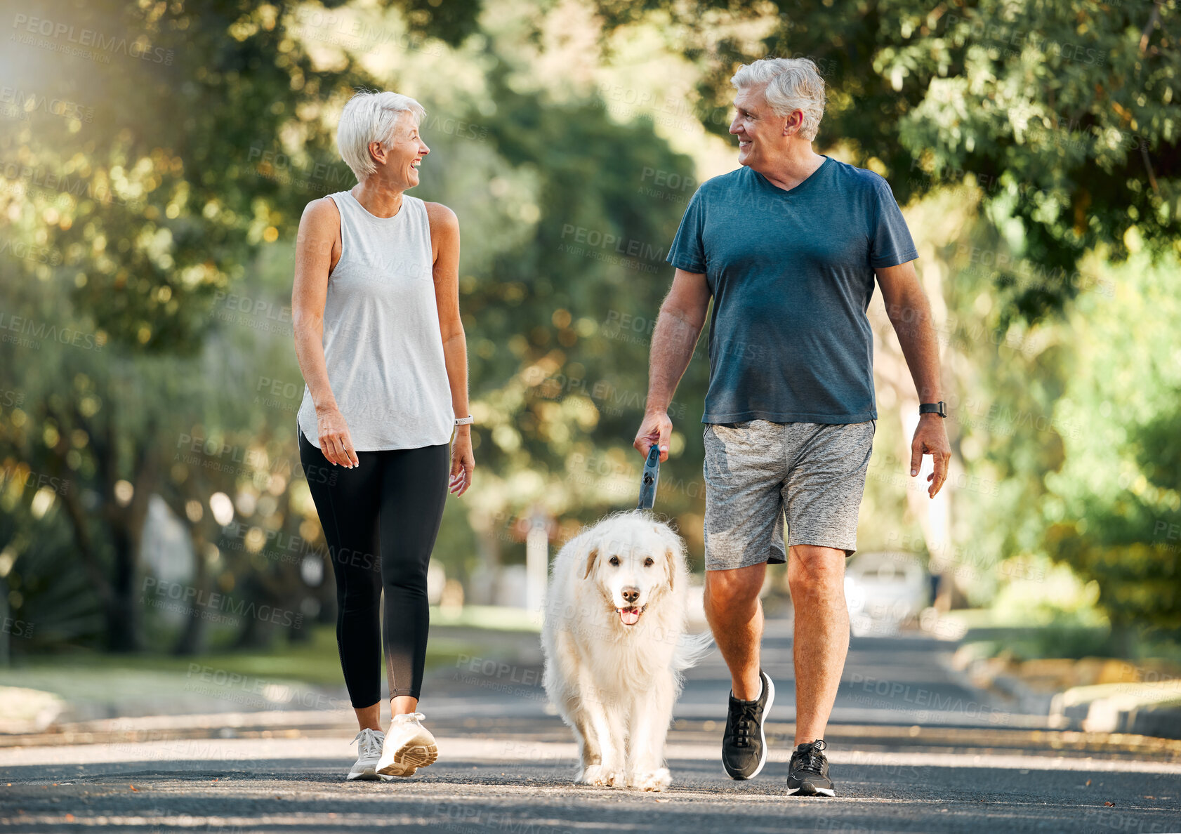 Buy stock photo Retirement, fitness and walking with dog and couple in neighborhood park for relax, health and sports workout. Love, wellness and pet with old man and senior woman in outdoor morning walk together