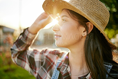 Buy stock photo Farm, agriculture and woman farmer working in the field during spring at sunset to monitor growth. Wellness, sustainability and eco friendly female standing in a green, agro and sustainable garden.