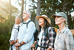 Hiking, adventure and exploring with a group of senior friends looking at the view on a nature hike in a forest or woods outdoors. Retired people on a journey of discovery and enjoying a walk outside