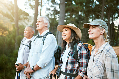 Buy stock photo Hiking, adventure and exploring with a group of senior friends looking at the view on a nature hike in a forest or woods outdoors. Retired people on a journey of discovery and enjoying a walk outside