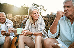 Mature friends relaxing by fun camp while enjoying retirement, break and casual conversation together outdoors. People bonding, smiling and roasting marshmallow by picnic and barbecue bonfire