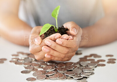 Buy stock photo Money, plant and growth in the hands of a woman to show development, care and sustainability of a green business. Accountability, management and leadership of an eco friendly accounting startup