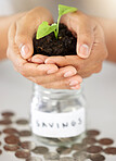 Green economy hands and savings growth for investment, finance and future money goal. Closeup of financial advisor, bank employee and worker holding budget accountability on an insurance loan