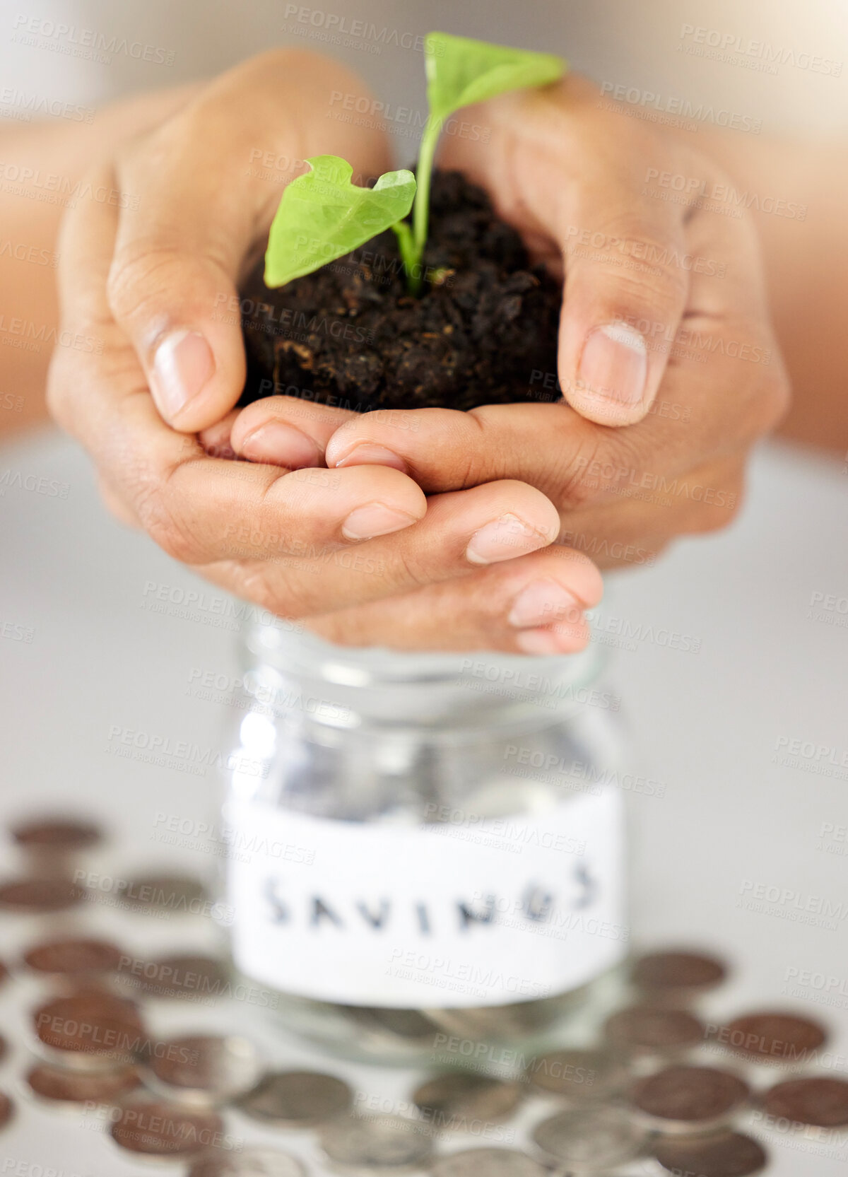 Buy stock photo Green economy hands and savings growth for investment, finance and future money goal. Closeup of financial advisor, bank employee and worker holding budget accountability on an insurance loan