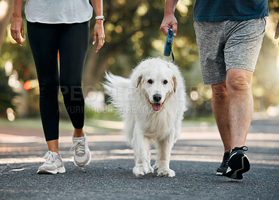 Buy stock photo Couple walking the dog in a park for exercise, fitness and workout. Senior man and woman together taking pet for walk outdoors on leash. Leisure activity for wellness, active and healthy lifestyle