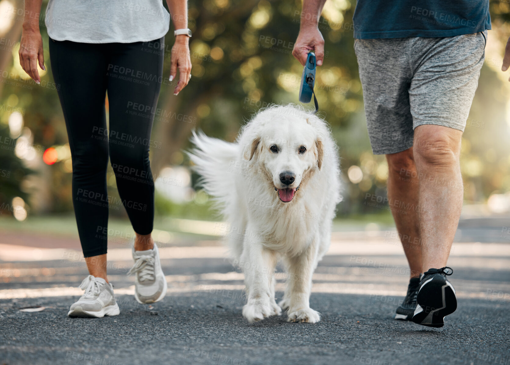 Buy stock photo Couple walking the dog in a park for exercise, fitness and workout. Senior man and woman together taking pet for walk outdoors on leash. Leisure activity for wellness, active and healthy lifestyle