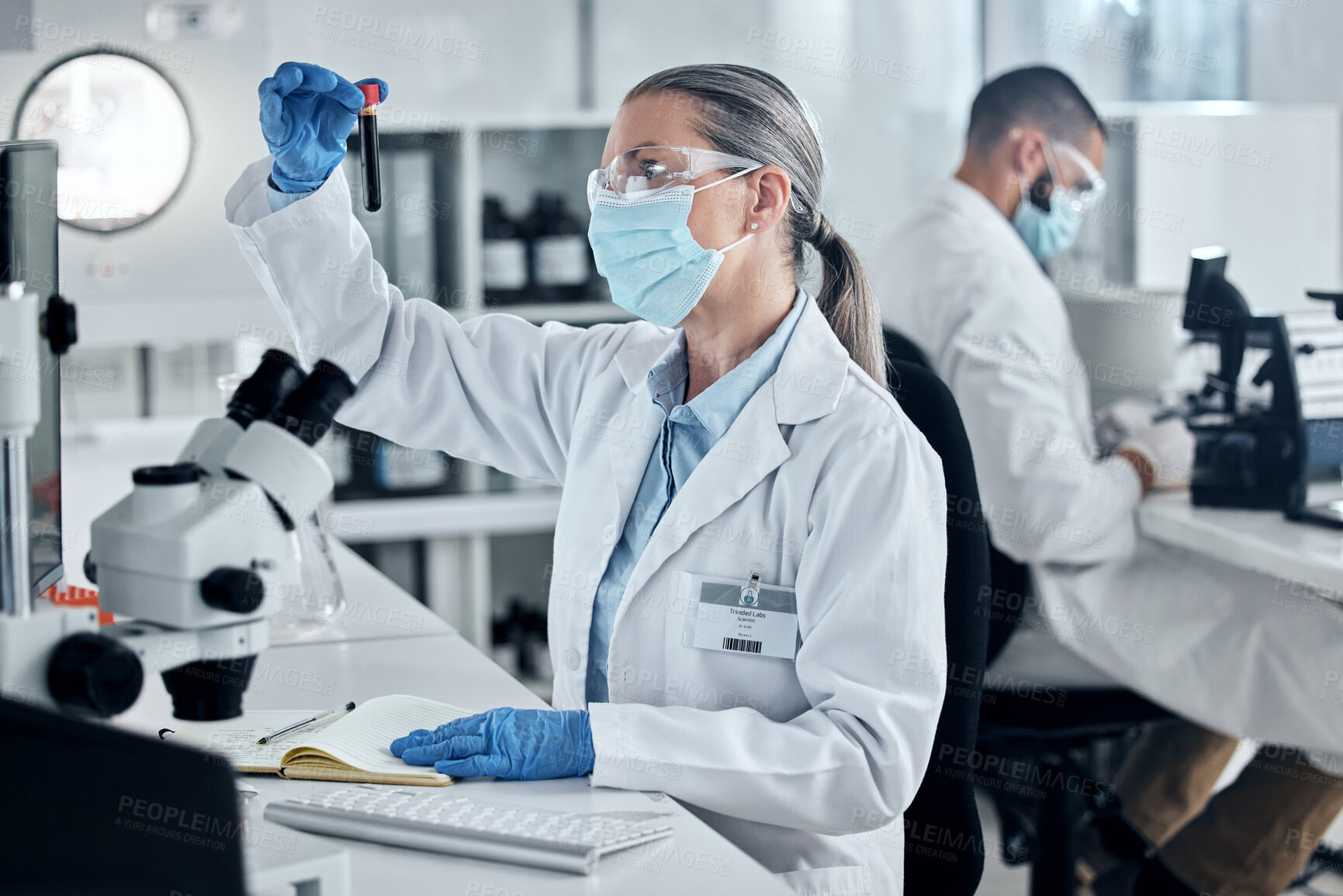 Buy stock photo Covid, science or blood research with woman scientist working with test tube in lab on DNA for innovation, vaccine or cure. Healthcare, medicine or analytics with doctor at work in medical laboratory