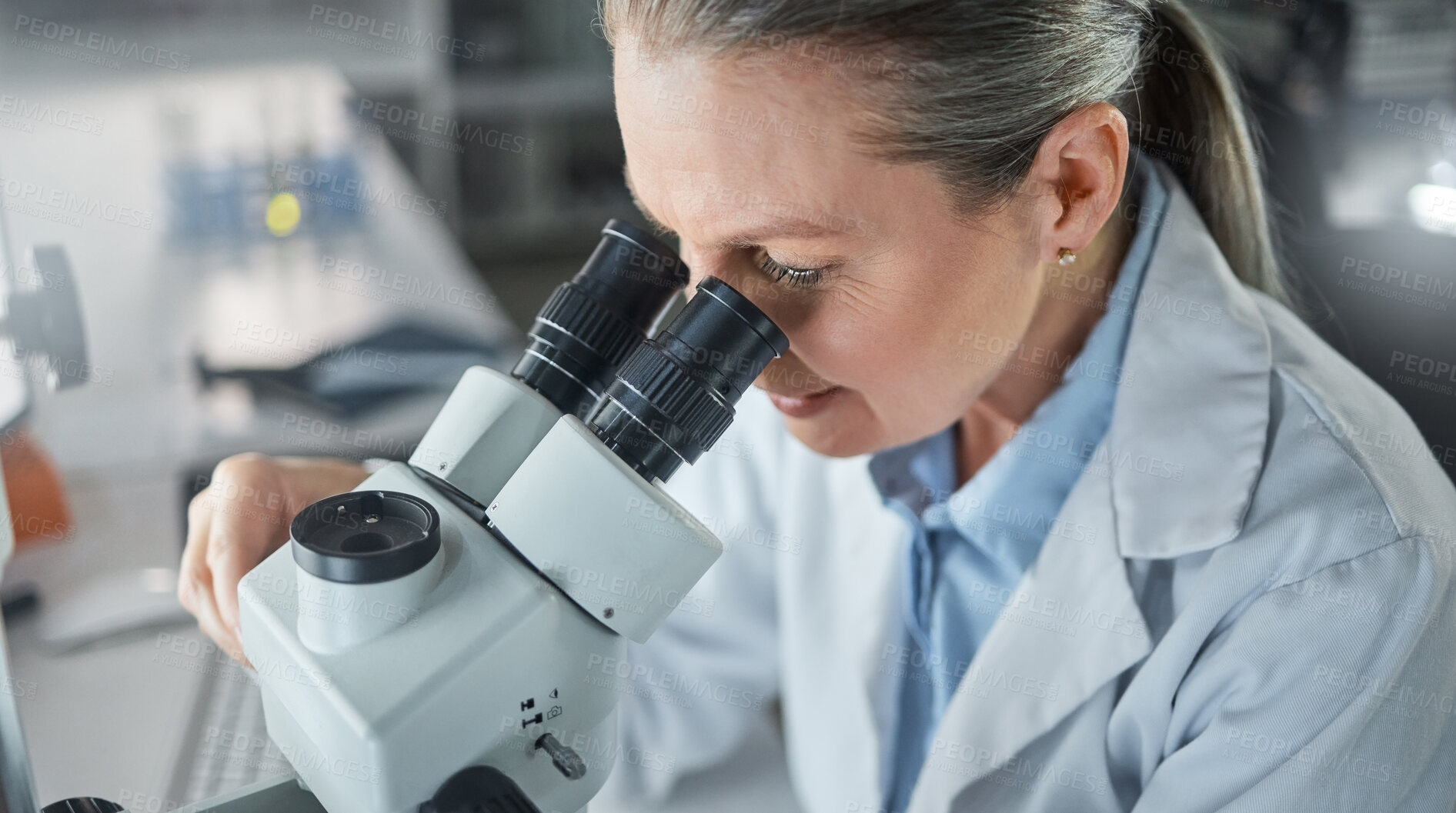 Buy stock photo Science, research and microscope with a woman engineer working in her laboratory on innovation and development. Analytics, future and sample with a scientist at work with DNA or RNA in her lab