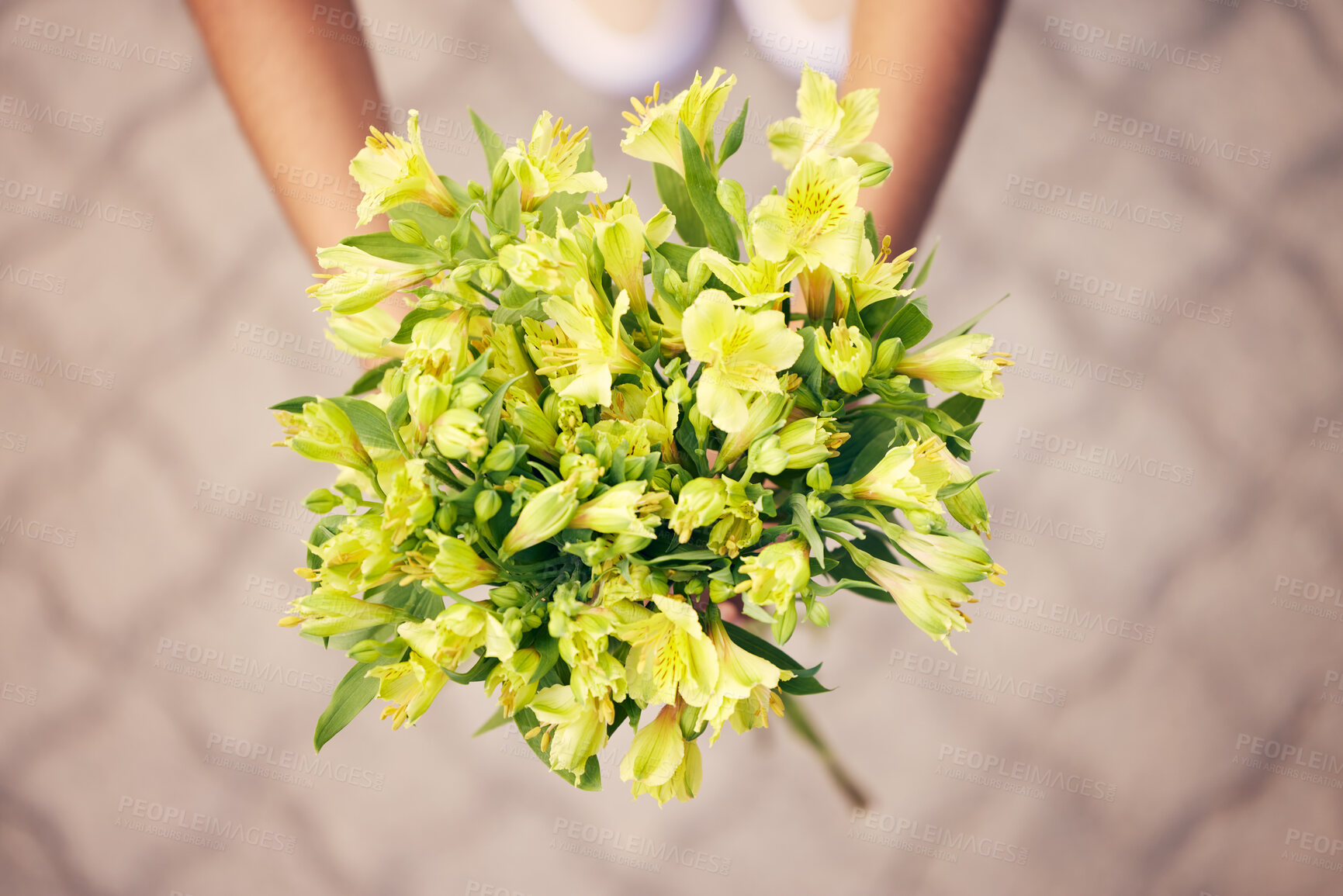 Buy stock photo Flowers, gift and person with bouquet for thank you, support or love in a road or street in the city. Man or woman with a yellow lily flower as a present of gratitude, birthday or celebration