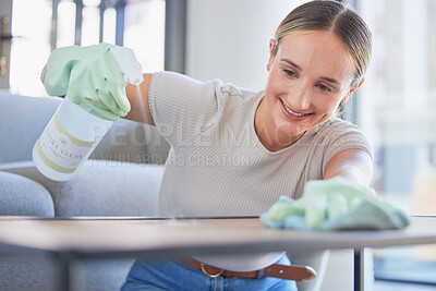 Cleaning Supplies Happy Portrait Woman Housekeeping Cleaning