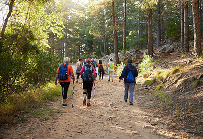Buy stock photo Hiking, nature and fitness with a group of people walking in the woods or forest for health and exercise. Trees, health and active with friends taking a walk on a dirt road or footpath during summer