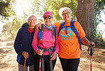 Senior women, hiking group and friends fitness in nature, park and forest for healthy lifestyle, wellness and freedom together. Portrait happy, elderly and retirement people walking exercise outdoors