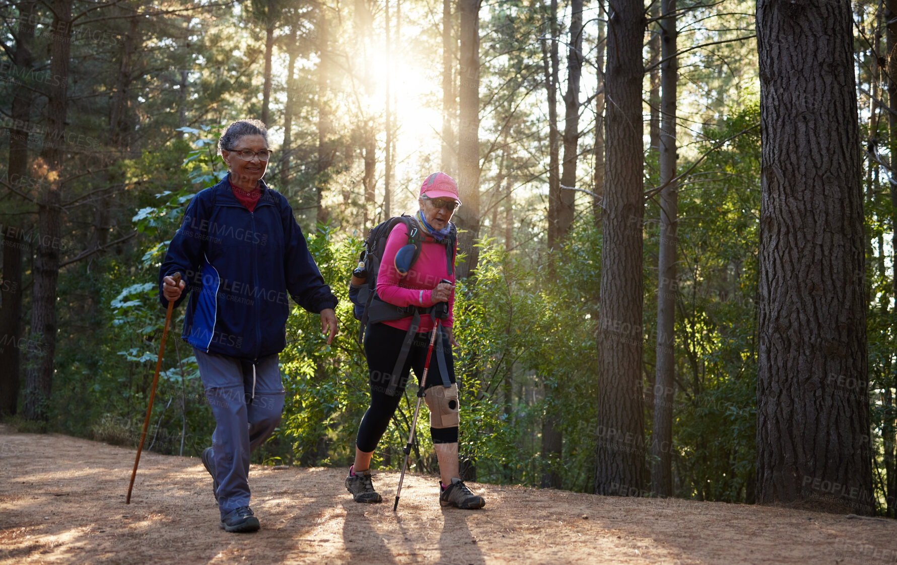 Buy stock photo Forest, fitness and old couple hiking in nature with trekking sticks with backpacks on a mountain trail. Retirement, hikers and elderly woman walking with senior partner outdoors in woods in Peru 