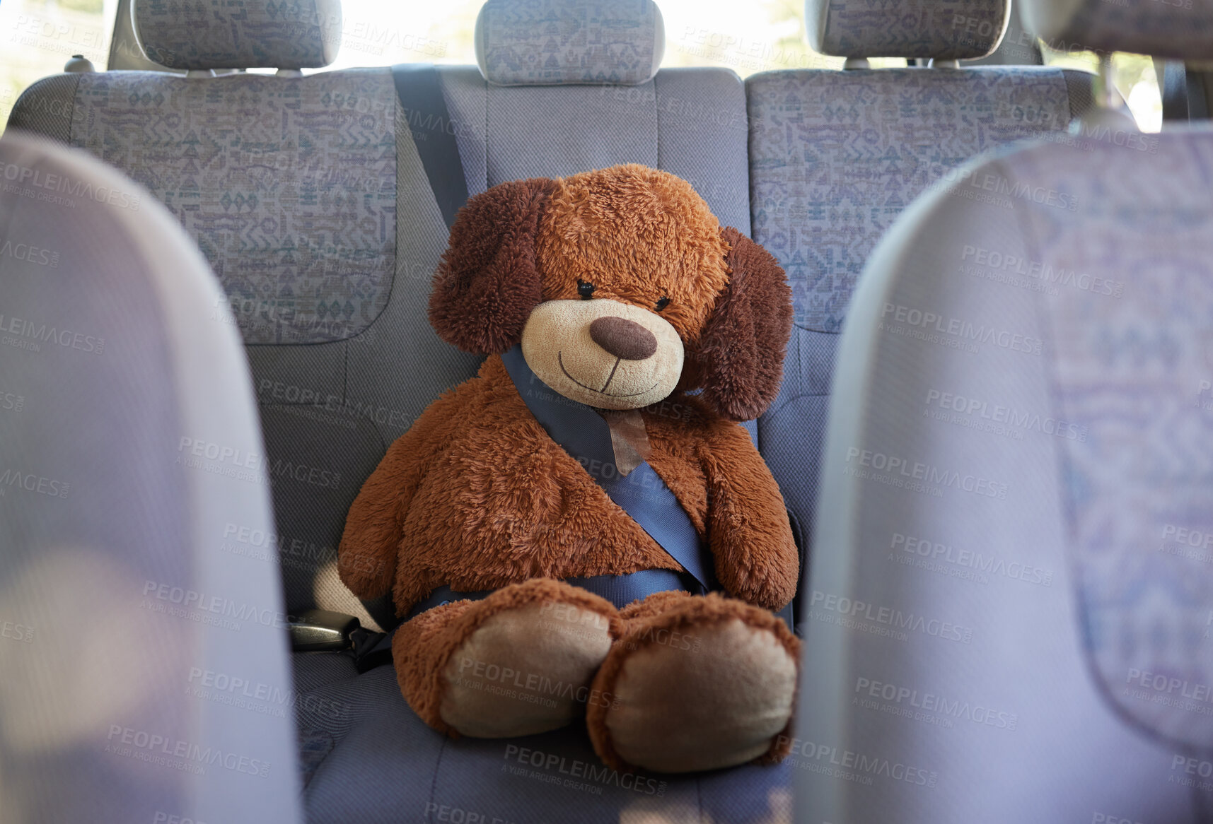 Buy stock photo Teddy bear, seatbelt and safety on the back seat of a car while on a road trip, journey and travel with transport, insurance and vehicle. Passenger, protect and safe driving with a stuffed animal toy