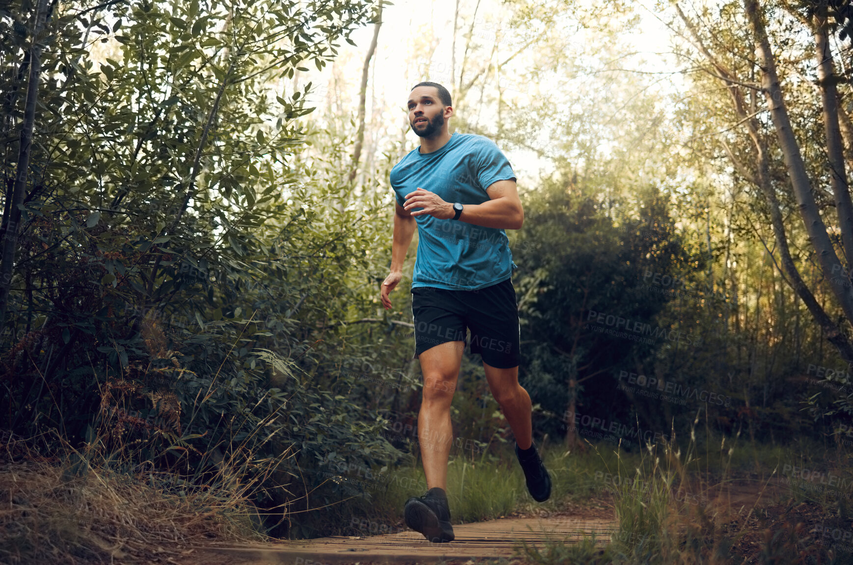 Buy stock photo Fit man, nature run in forest and running for cardiovascular health or body wellness past green trees. Sports runner, cardio fitness training and working out doing offroad marathon workout exercise 