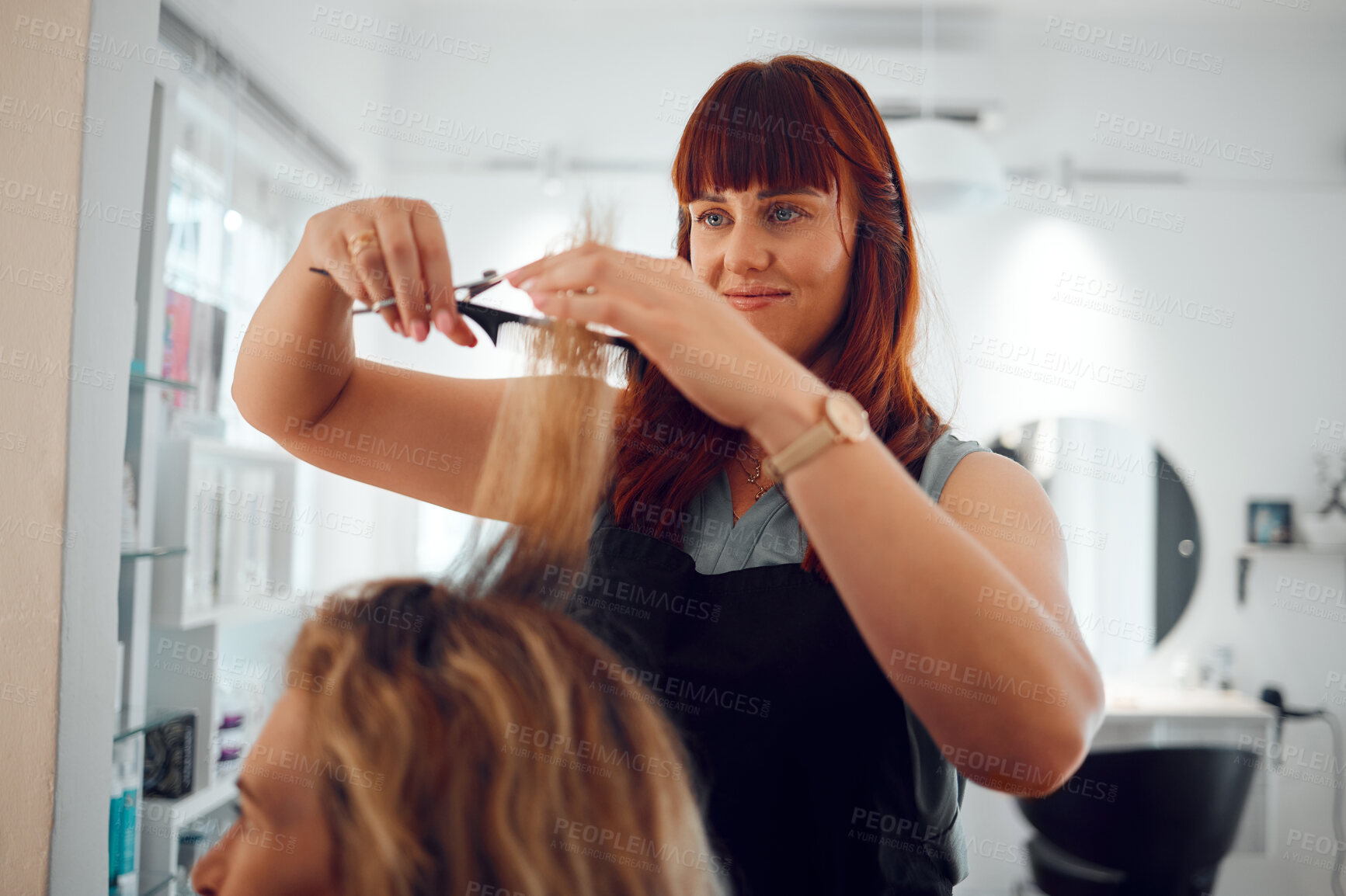 Buy stock photo Haircut, scissors and beauty with a woman hairdresser cutting the hair of a client during an appointment. Hair, style and cut with a female worker and customer in a salon for creative hairstyle