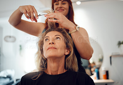Buy stock photo Haircut and hairdresser styling the hair of client in salon for makeover, beauty and hair care. Hairstylist, senior woman customer in retirement and cosmetic service or treatment at parlor in Canada.