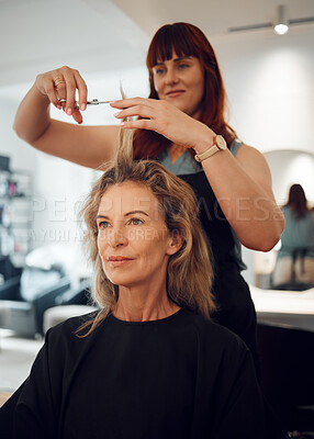 Buy stock photo Woman, hair and salon for haircut with hairdresser for beauty, style or makeover. Customer, beautician and cosmetics for professional hair care, service or fashion in studio, spa or shop in Toronto