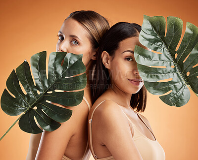Buy stock photo Diversity, beauty and skincare women friends with a plant leaf. Portrait of young cosmetic models with organic detox treatment, healthy and skin wellness against an orange mockup space background
