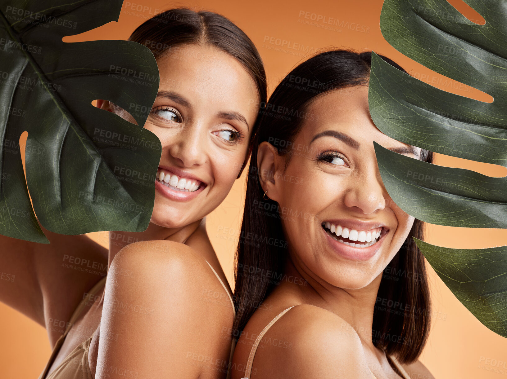 Buy stock photo Beauty, skincare and wellness with women and leaf for natural cosmetics, luxury and sustainability together. Health, spa and tropical plant with model in brown background studio for luxury and makeup
