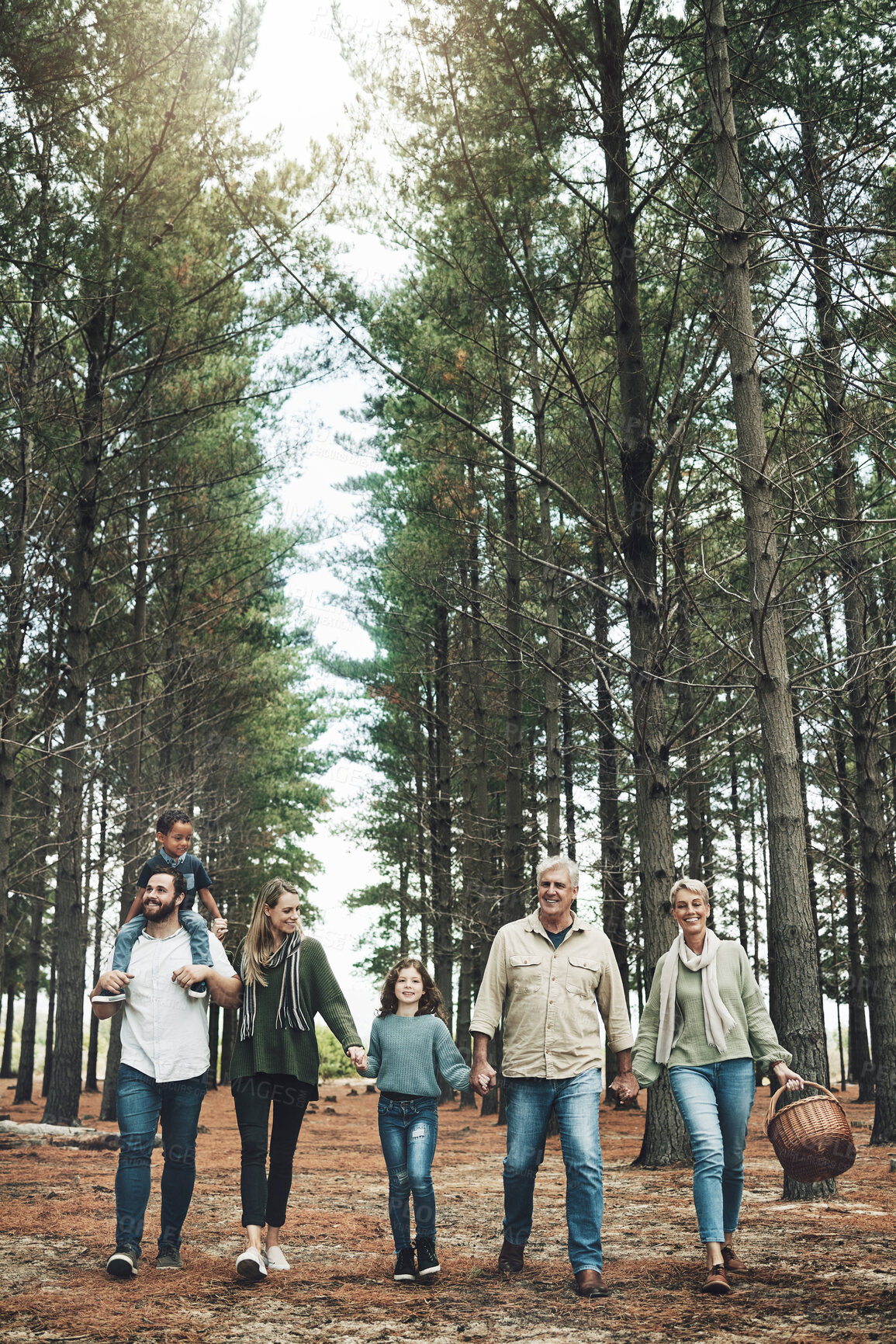 Buy stock photo Forest, holding hands and big family walking in nature for outdoor hiking, adventure and wellness holiday with trees. Diversity, adoption and happy community in woods for earth day love celebration