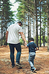 Father, child and hold hands on walk in forest, nature or woods together for adventure. Man, dad and kid by trees, sunshine and earth for walking, bonding and happiness on vacation in summer with boy