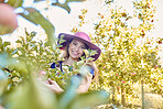 Happy farmer, woman and picking an apple from a tree on a farm in spring. Happy female collecting fruits in an orchard during harvest season with fresh red apples growing on an agriculture farmland