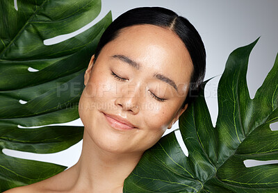 Face, beauty and palm leaves with a model asian woman in studio on a gray background for skincare. Wellness, plant and health with an attractive young female posing for natural care or cosmetics