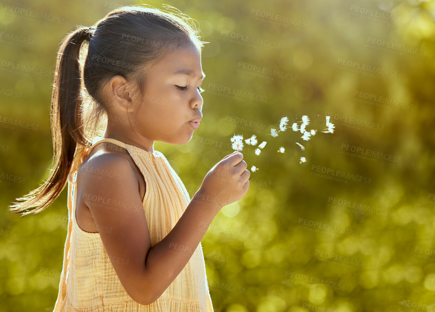 Buy stock photo Child, girl or blowing dandelion flower in summer garden, nature park or sustainability environment in wish, hope or freedom. Kid, youth or field spring plant in motion in relax backyard