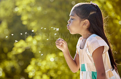 Buy stock photo Dandelion blowing, nature and girl outdoor feeling zen and calm in spring with flowers. Young child from Vietnam in a garden, kid and green park having fun in sunshine in peace and quiet outdoors