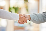 Business people shaking hands, meeting and consulting, networking and hiring agreement, partnership goals or office onboarding. Welcome handshake, hr worker promotion or b2b management support deal 