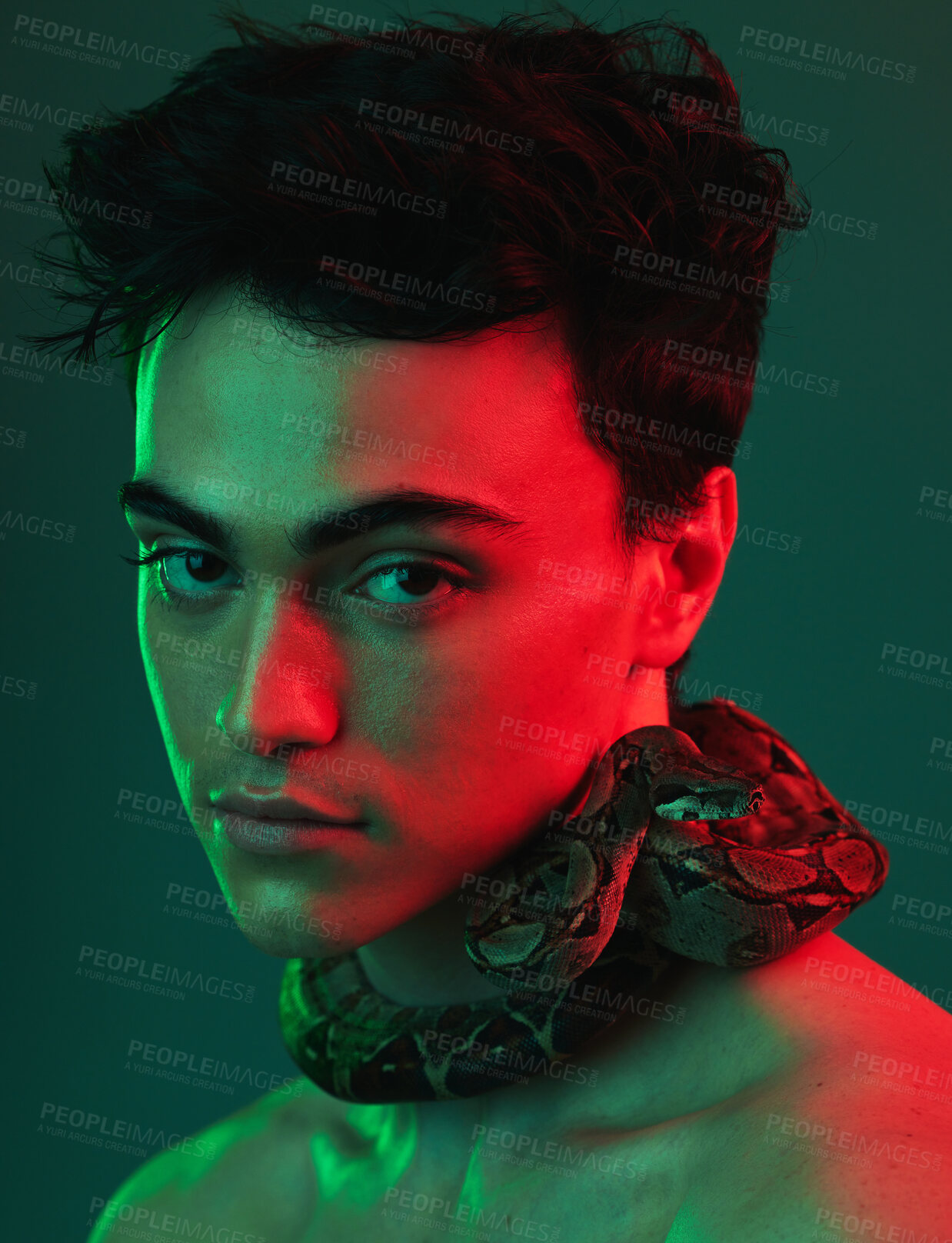 Buy stock photo Beauty, skincare and snake by man in neon, light and color  studio for aesthetic, style and cosmetic. Portrait, face and animal by model for facial, product and glamour by asian on neon green mockup