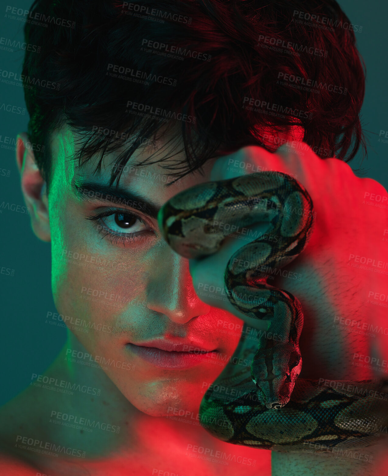 Buy stock photo Skincare, neon light and snake for skincare, danger and venom or poison for dermatology, power or aesthetic background. Portrait of model male in studio with python animal for beauty, art and fashion