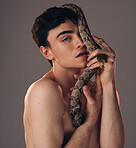 Model skin snake, face man and grey studio background with health beauty, skincare and makeup. Cosmetics serpent guy, edgy creative and facial wellness cosmetic in artistic portrait with python