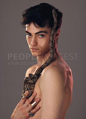 Buy stock photo Portrait, man and model with snake in studio isolated on a gray background. Beauty, art and fashion of young male model posing with python, reptile or serpent for skincare, body care and cosmetics.
