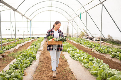 Buy stock photo Woman, farmer or vegetables container in agriculture greenhouse, sustainability environment or countryside farming estate. Smile, happy or walking garden worker with leaf crops or harvest food growth