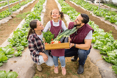 Buy stock photo Family, farm and children with a girl and parents working together in a greenhouse during the harvest season. Health, plant and sustainability with a man, woman and child at work for agriculture
