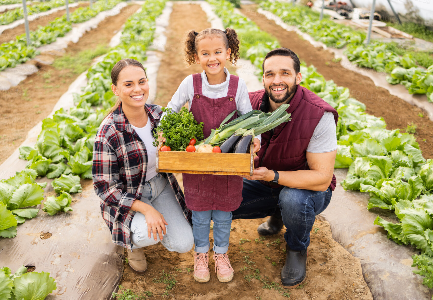 Buy stock photo Family, agriculture and box with vegetables on farm, harvest and fresh product portrait, happy with sustainable farming. Man, woman and girl outdoor, farmer with healthy organic food and nutrition.