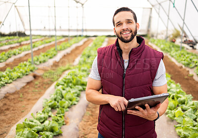 Buy stock photo Farmer, agriculture and man with tablet in greenhouse, research and check product with harvest portrait and fresh vegetables. Farm, farming and technology, sustainable lifestyle and organic lettuce.