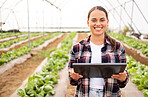 Digital tablet, vegetable farmer and sustainable organic lettuce crop, healthy harvest and farming sustainability. Modern farm, planning and modern agriculture technology to monitor veg growth health