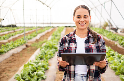 Buy stock photo Digital tablet, vegetable farmer and sustainable organic lettuce crop, healthy harvest and farming sustainability. Modern farm, planning and modern agriculture technology to monitor veg growth health
