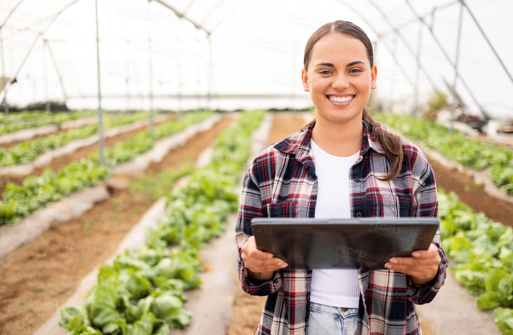 Buy stock photo Digital tablet, vegetable farmer and sustainable organic lettuce crop, healthy harvest and farming sustainability. Modern farm, planning and modern agriculture technology to monitor veg growth health