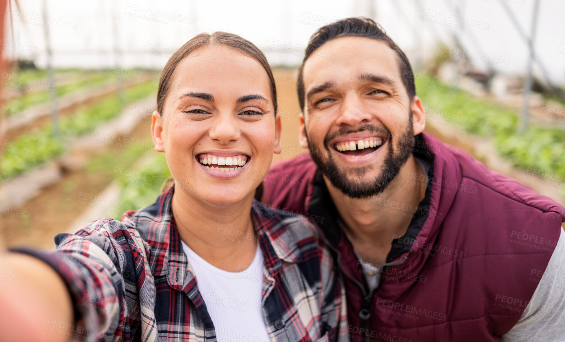 Buy stock photo Farming, agriculture and selfie of couple on farm, smiling and happy from success. Nature, sustainability and portrait of man and woman in greenhouse after checking vegetables, crops and harvest